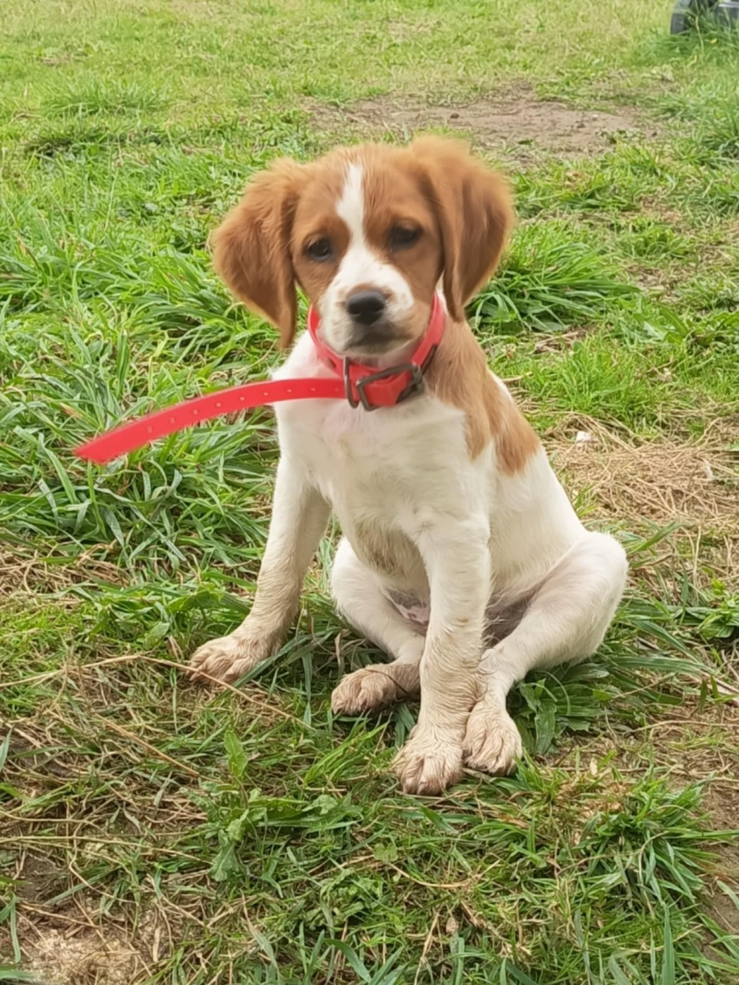 Aeris du chemin du sel