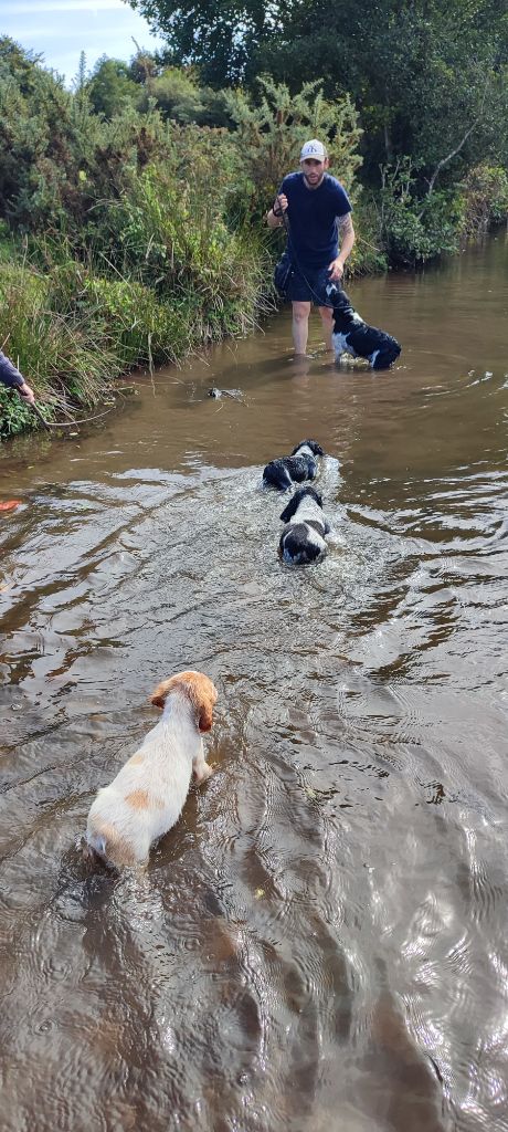 1ère balade à la rivière 